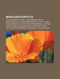 Marchantiophyta