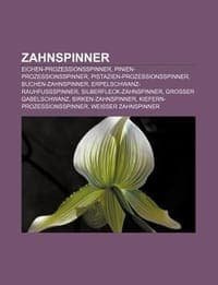 Zahnspinner