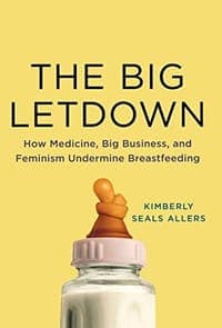 The Big Letdown: How Medicine, Big Business, and Feminism Undermine Breastfeeding