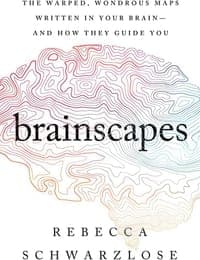 Brainscapes