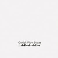 Cerith Wyn Evans