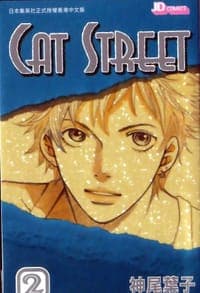 CatStreet#2