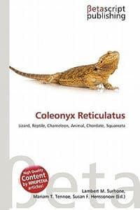Coleonyx Reticulatus