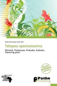 Telopea Speciosissima