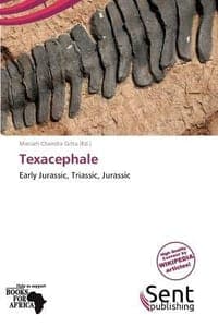 Texacephale