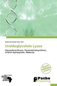 Ureidoglycolate Lyase