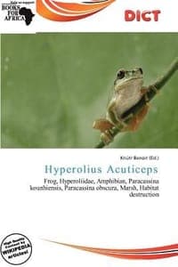 Hyperolius Acuticeps