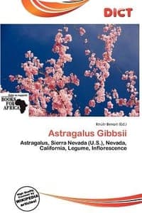 Astragalus Gibbsii