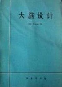 大脑设计