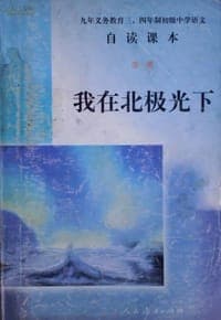 我在北极光下