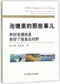 池塘里的那些事儿(养好池塘就是养好了南美白对虾)