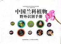 中国兰科植物野外识别手册