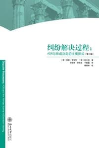 纠纷解决过程