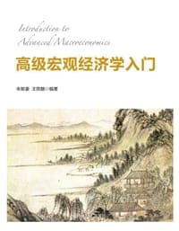 高级宏观经济学入门