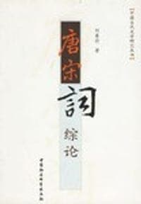 唐宋词综论