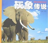 灰象传说