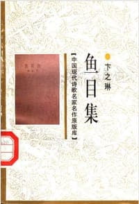 鱼目集
