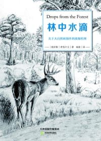 林中水滴