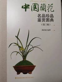 中国兰花名品珍品鉴赏图典（第三版）