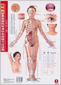 便携式最新国际标准针灸经络穴位挂图