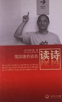 读诗·雪加速的姿态