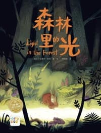 森林里的光