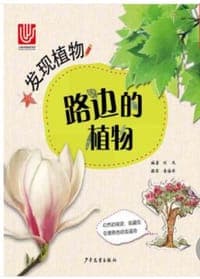 发现植物 路边的植物