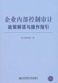 企业内部控制审计政策解读与操作指引