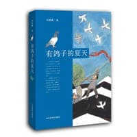 有鸽子的夏天