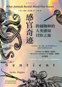 感官奇迹