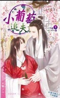 小葡萄追夫記 (下)