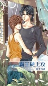 霸王硬上攻