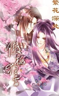 傲梅狂雷