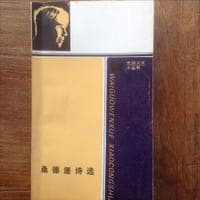 桑德堡诗选